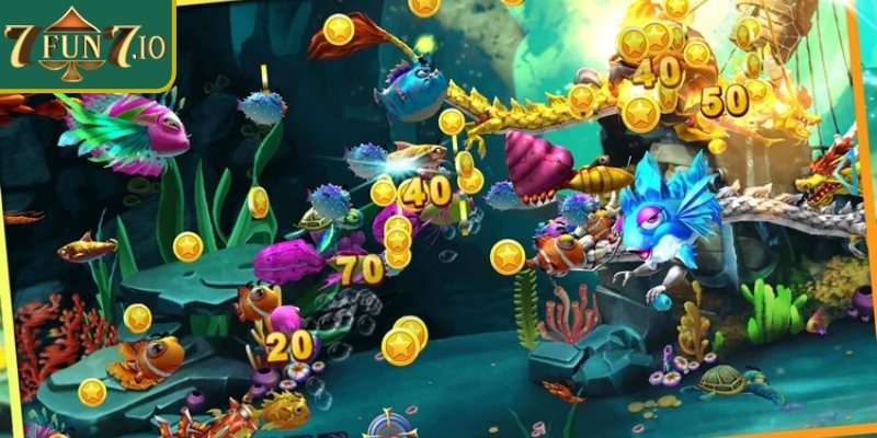 Quan sát thời gian có Boss