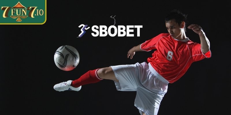 Lý do sảnh SBO thể thao thu hút cược thủ